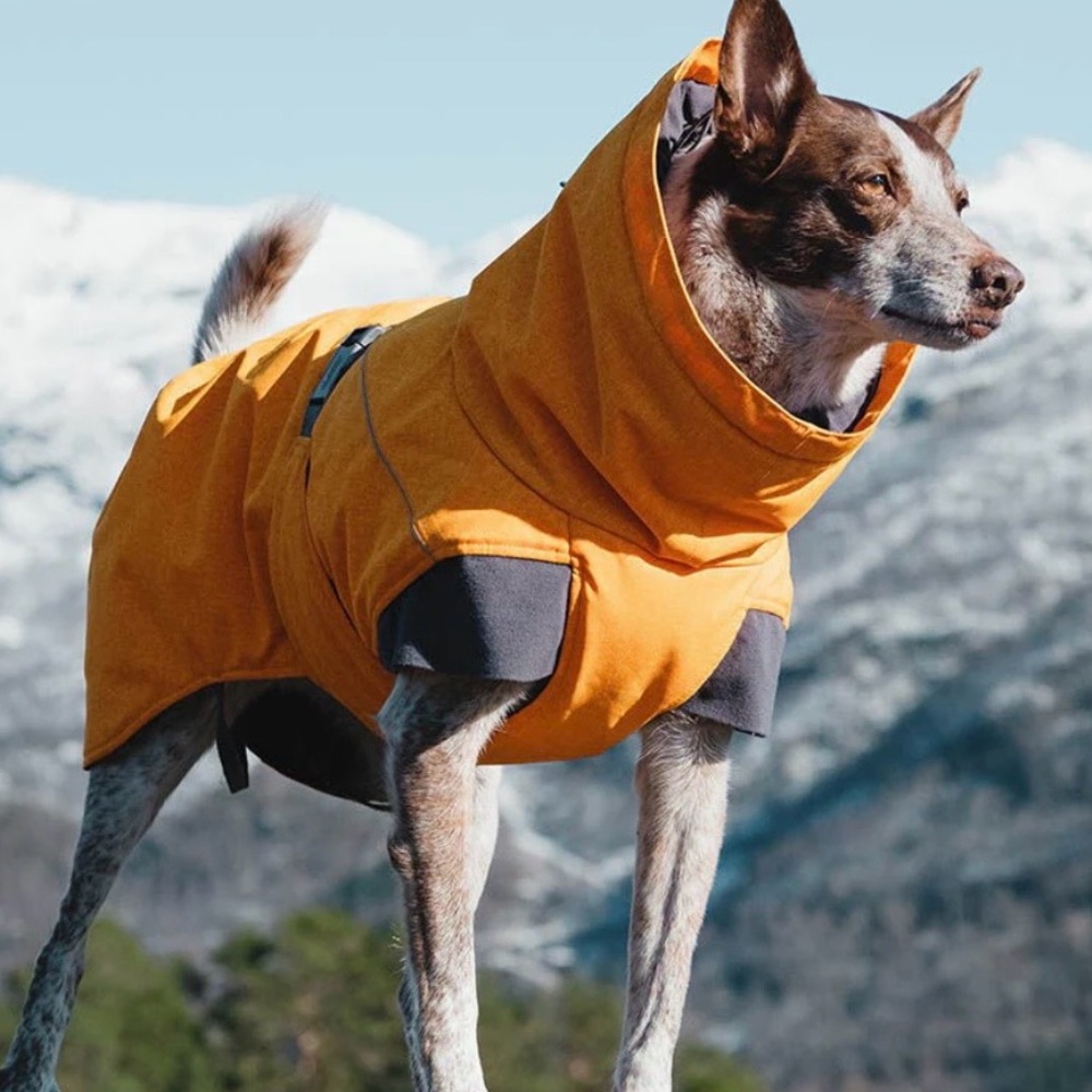 Hurtta Dog Expedition Parka Orange - size 18 inch XS